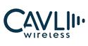 Cavli Wireless, Inc.